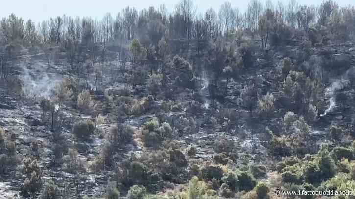 Volontario della Protezione civile arrestato per otto incendi dolosi nel Gargano. I sindaci: “Chiarire il movente di un’azione così grave”