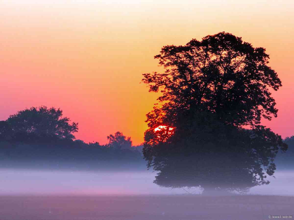 Herbst in NRW: So wird das Wetter im September