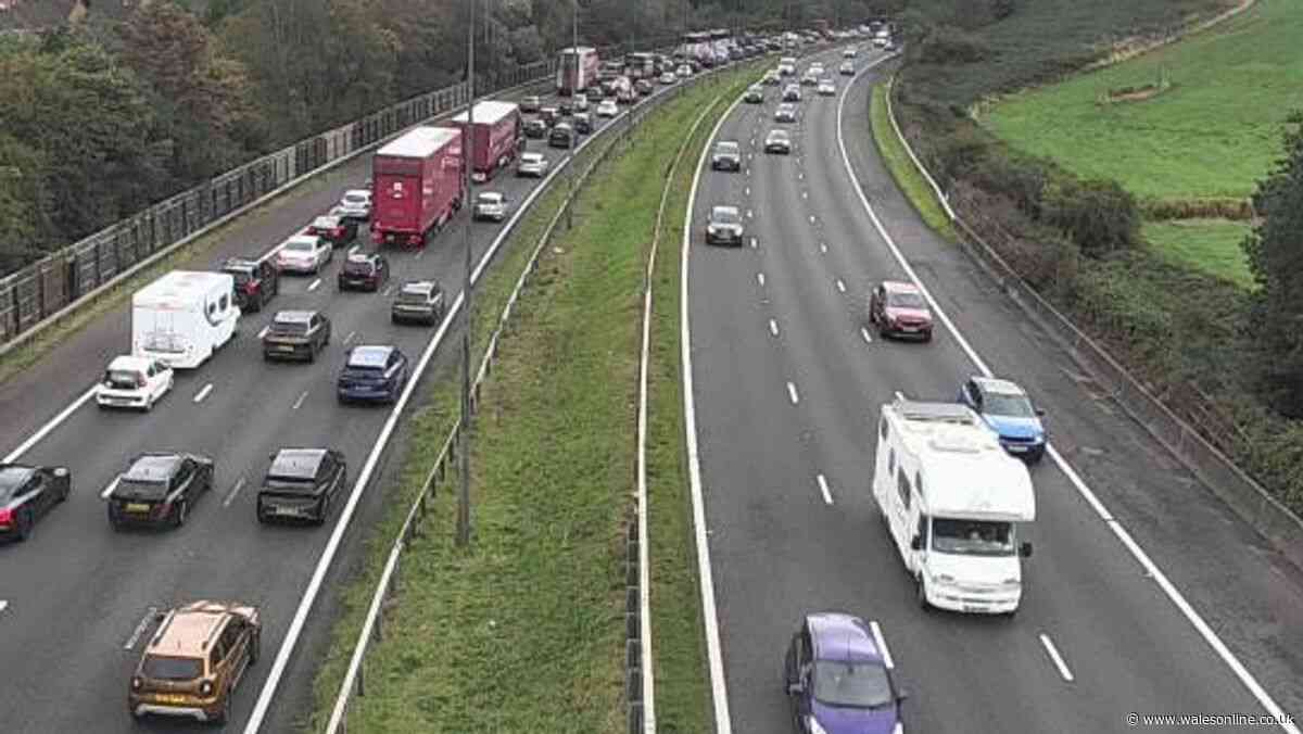 M4 traffic chaos after crash on Prince of Wales bridge - live updates