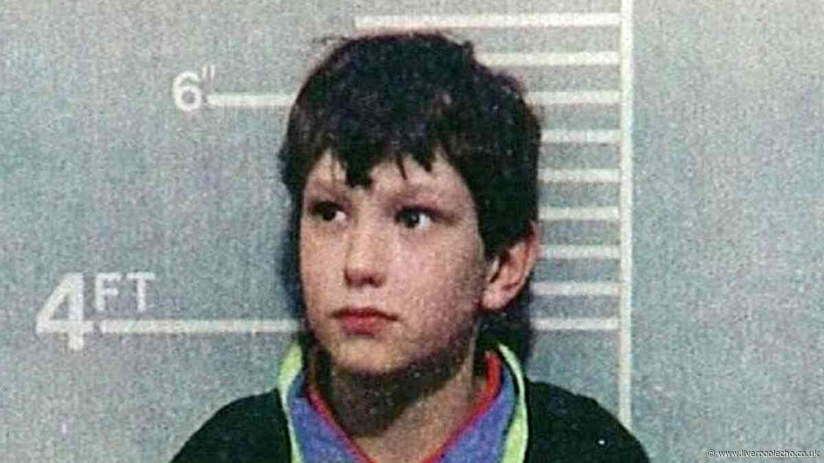 Jon Venables hearing should be public because of later sex offending, James Bulger dad says