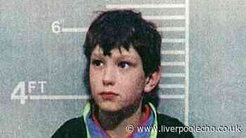 Jon Venables hearing should be public because of later sex offending, James Bulger dad says