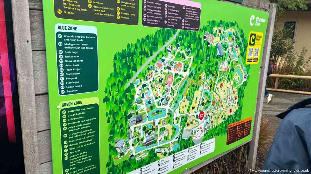 Chester Zoo issues statement following criticism of 'child predator tour' tickets advert