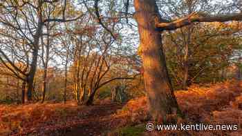 The Kent village with woodland walks and an award-winning country pub