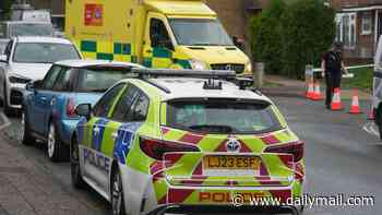 Woman, 40, is arrested over 'acid attack' as 40-year-old man is rushed to hospital and road closed