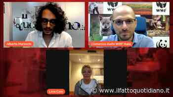 “Caccia, perché il governo vuole fare strage di animali?” con Licia Colò, Domenico Aiello, Alberto Marzocchi