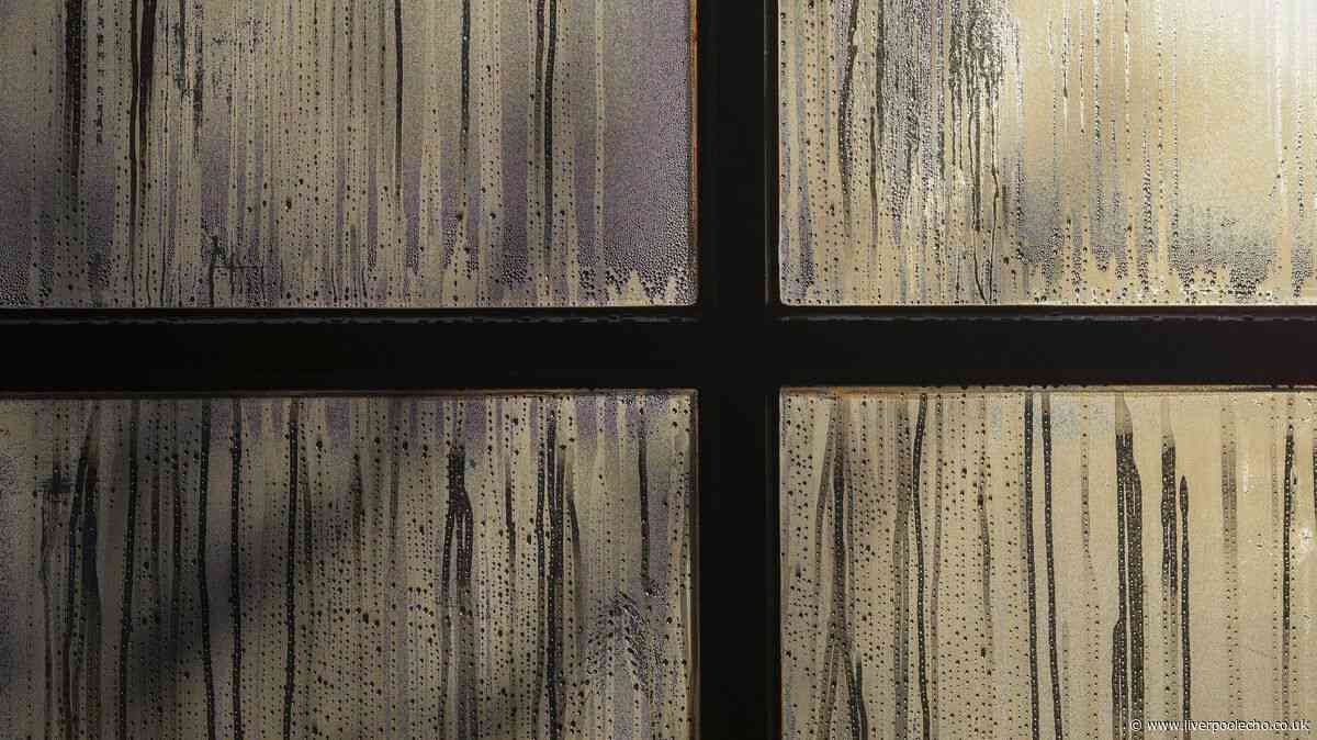 Windows will be streak-free in 15 seconds when wiped with 1 kitchen item — not vinegar