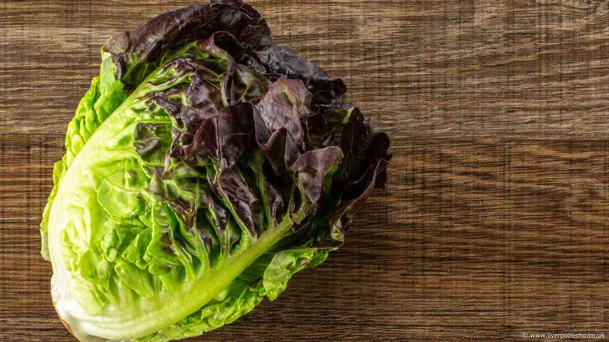 Lettuce will stay fresh for 4 weeks by wrapping it in 1 common kitchen staple