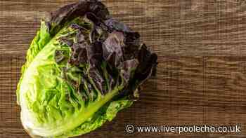 Lettuce will stay fresh for 4 weeks by wrapping it in 1 common kitchen staple