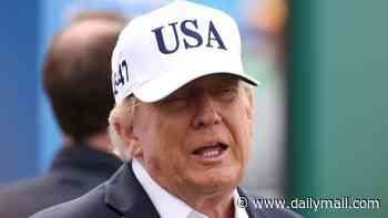 Donald Trump says he 'loved' making UK politicians angry with support for united Ireland as allies including Farage disown president