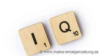 Kurzes Quiz für einen schnellen Intelligenz-Check