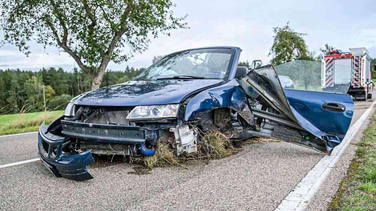 Auto reißt Baum und Strommast um – Fahrer wird im Wagen eingeklemmt