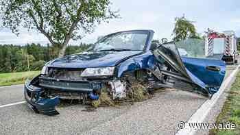Auto reißt Baum und Strommast um – Fahrer wird im Wagen eingeklemmt