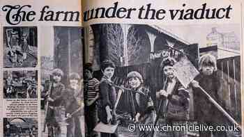 Mystery solved as Newcastle’s Ouseburn Farm finds children pictured nearly 50 years ago