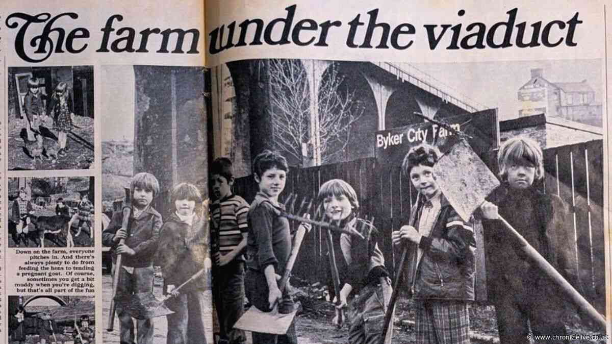Mystery solved as Newcastle’s Ouseburn Farm finds children pictured nearly 50 years ago