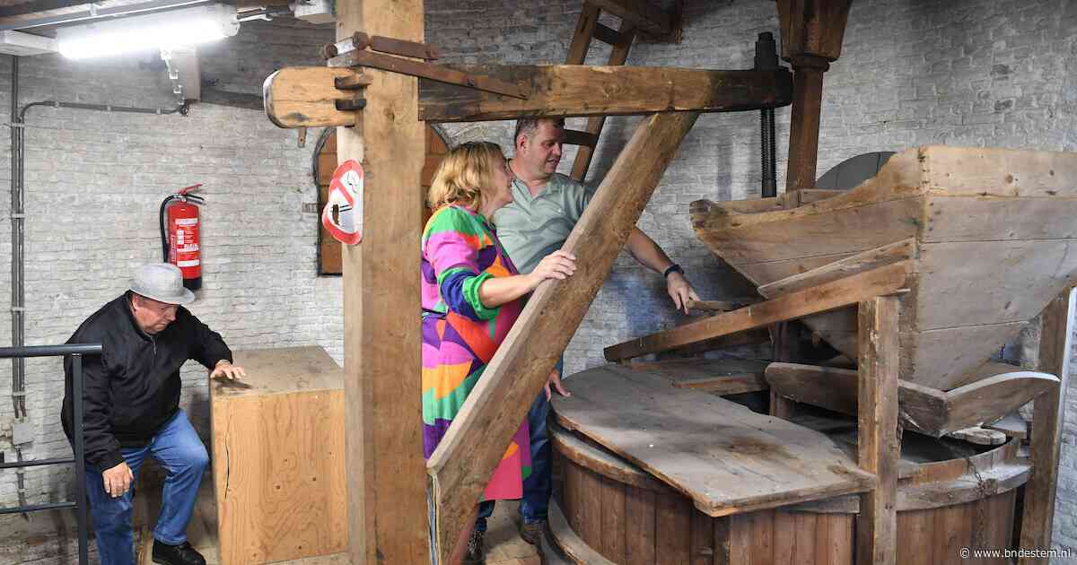 Meel met steengruis door restauratiefout bij molen De Hoop: ‘alleen tandarts wordt hier blij van’