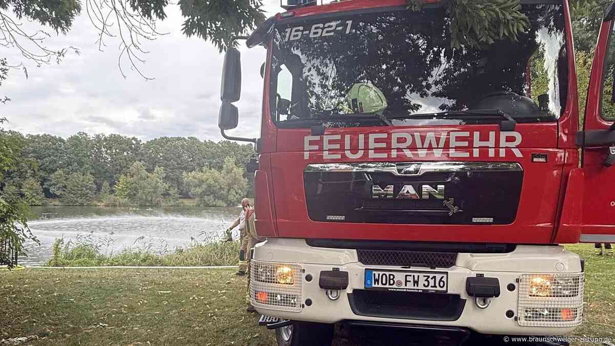 Fischsterben droht: Wieder muss die Feuerwehr in Wolfsburg ausrücken