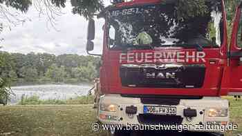 Fischsterben droht: Wieder muss die Feuerwehr in Wolfsburg ausrücken
