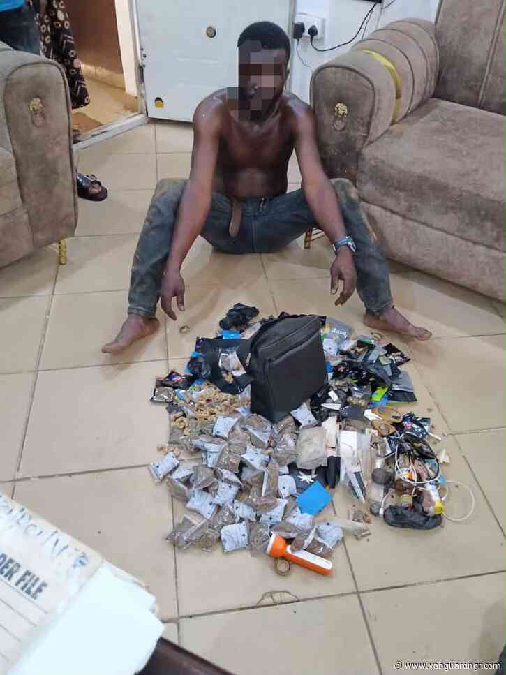 Oyo police arrest suspected drug dealer in Ibadan
