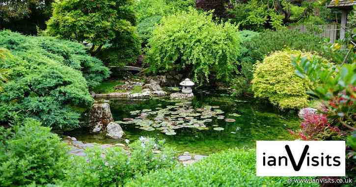 Tickets Alert: Free open day to Capel Manor gardens