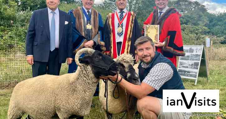 Rare breed sheep are being used to graze Hampstead Heath