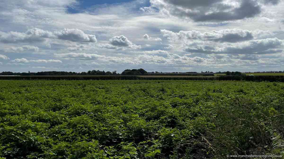 1,200 HGV journeys, 775 metre trains and 30 metre warehouses: The plan for Wigan's farmland