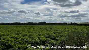 1,200 HGV journeys, 775 metre trains and 30 metre warehouses: The plan for Wigan's farmland