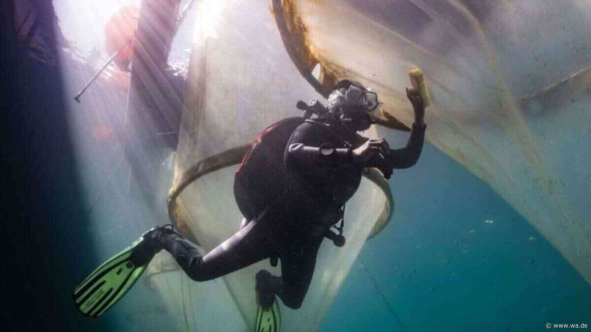Forscher kippen Bauschutt ins Meer – kann das wirklich helfen, CO₂ aus der Atmosphäre zu holen?
