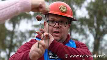 World Conker Championships could be called off after nuts weather frazzled this year's crop