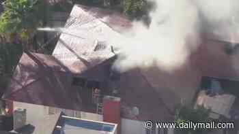 Hero brothers, aged 20 and 15, charge into burning nursing home where seniors were trapped and screaming for their lives