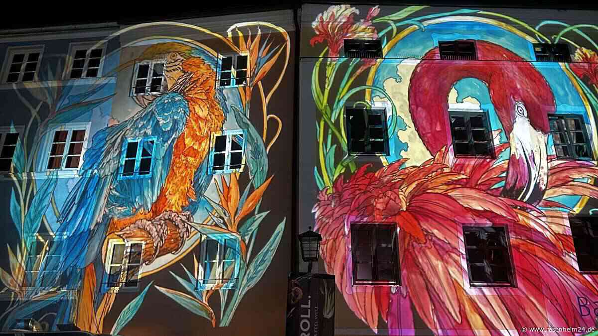 Roboter-Insekten und bunte Projektionen: „Wasserburg leuchtet“ fasziniert aufs Neue