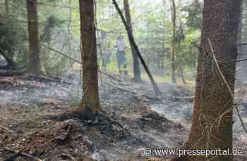 FW-DT: Flächenbrand im Leistruper Wald