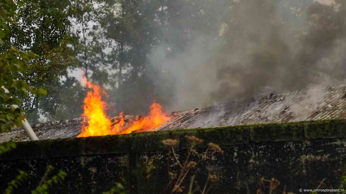 Grote brand in een stal van een boerderij in Lierop
