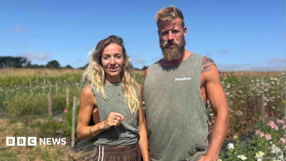 Flower farms flourish as buyers favour homegrown