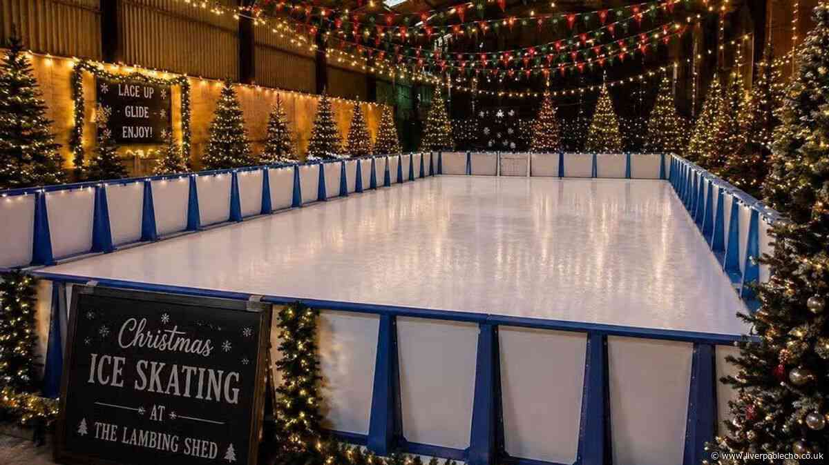 £15 tickets as new Christmas experience comes to Cheshire farm shop
