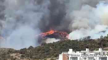 Huge wildfire breaks out at tourist hotspot Costa del Sol as 11 helicopters and more than 100 firefighters race to battle inferno