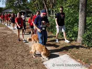 Canine cancer charity to hold annual dog walk