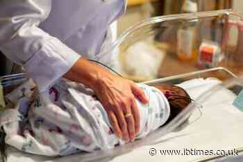 Xu Bo's 100-Plus Child Surrogacy Report Raises Questions Over US Protections for Women Who Carry Pregnancies