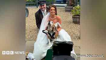 Couple surprise wedding guests with mini steam train