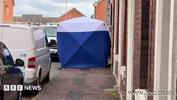 Son charged with murdering parents appears in court