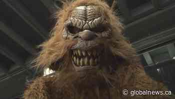 Canadian filmmaker sets record for most Bigfoot live-action movies