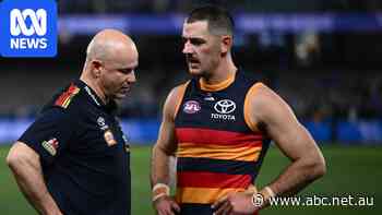 After Adelaide's crushing AFL semifinal loss, where to from here?