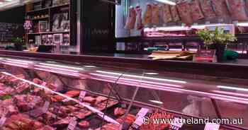 Why experts believe store cattle prices will defy global market pressures