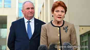 Pauline Hanson's One Nation reveals plan to cut migration by 750,000 people