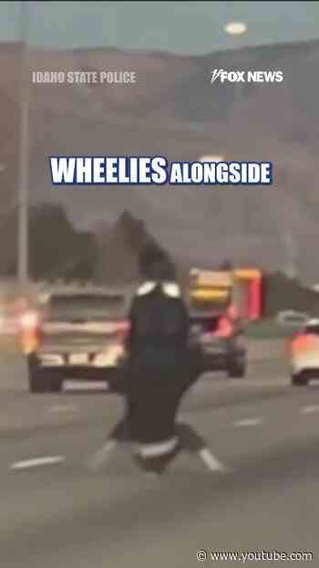 Motorcyclist 'popping wheelies' on the highway CRASHES #shorts
