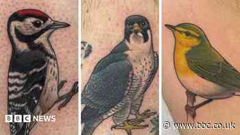 'I'm trying to do a tattoo of every British bird'