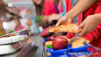 Schools to cut down on sugary puddings and deep fried foods in major meals overhaul