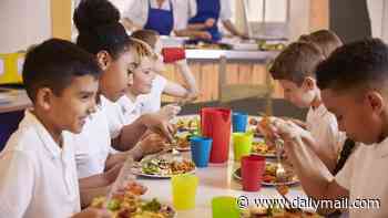 Deep-fried foods banned from school lunches and puddings cut to twice a week in new childhood obesity war