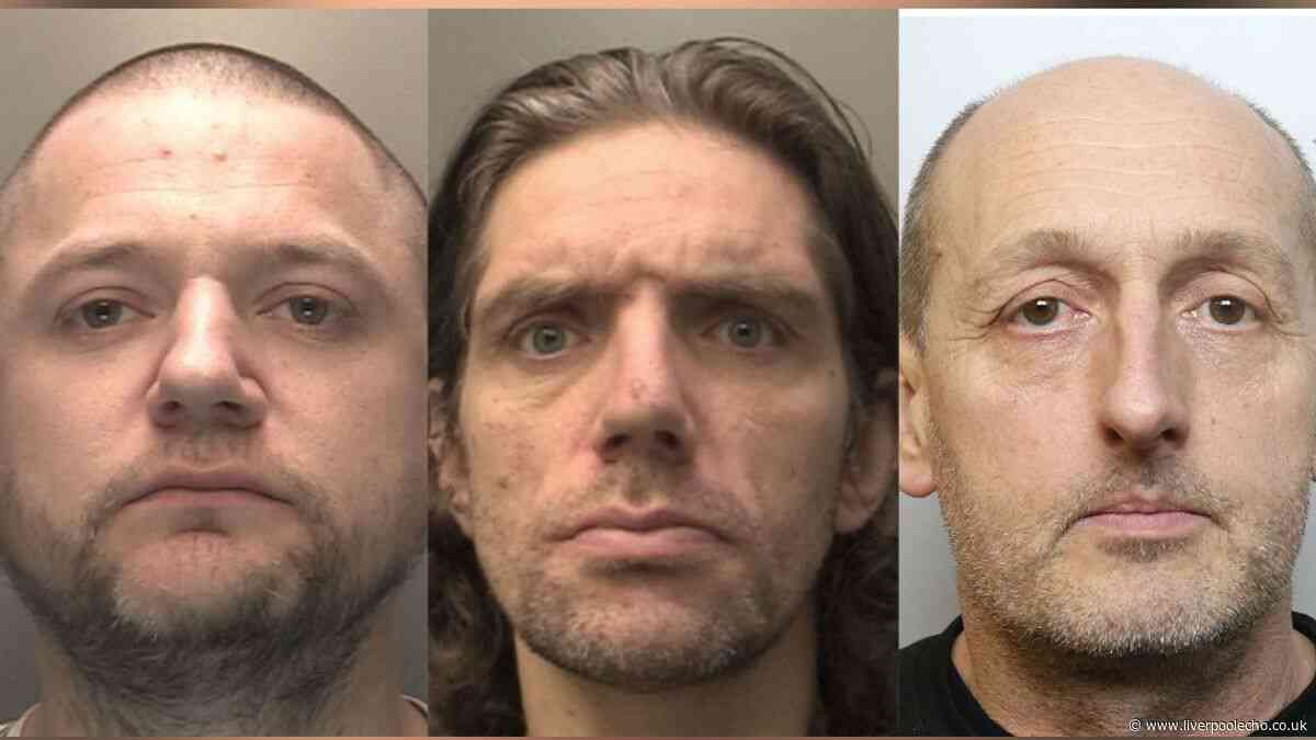 'Sketchy' plane passenger, dad who 'terrorised' Bargain Booze staff and 'weak' child sex offender jailed