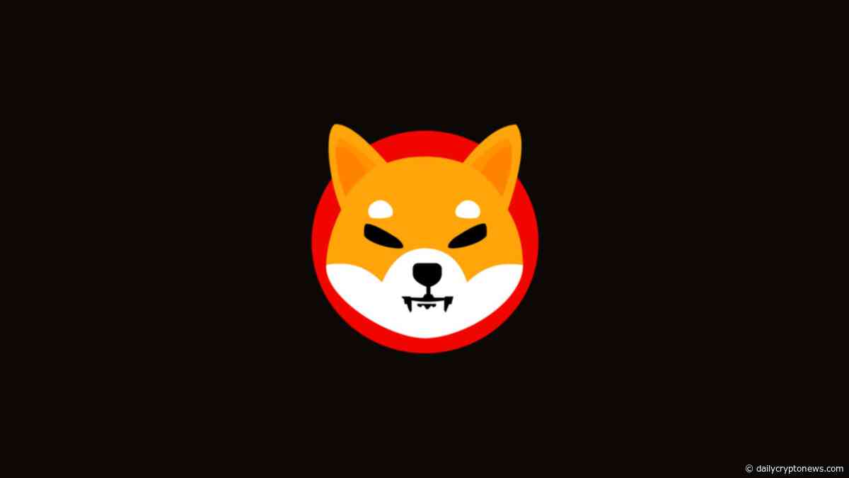 Why 1.8 Million Shiba Inu Addresses Don’t Tell the Whole Story