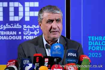 Iran's nuclear chief not expected to attend IAEA General Conference, official says